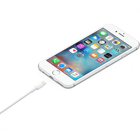 Câble Apple Lightning vers USB
