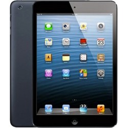 iPad mini (A1432)