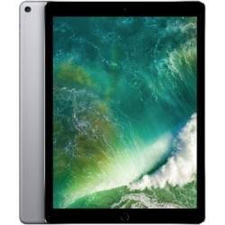 iPad Pro 12,9" 2eme Gen (A1670)