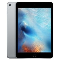 iPad mini 4 (A1538)